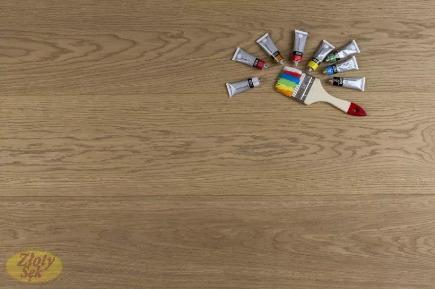 Złoty Sęk Dąb Cosmo klasa B