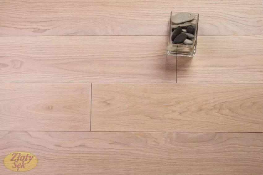 Złoty Sęk Dąb Snowy klasa B