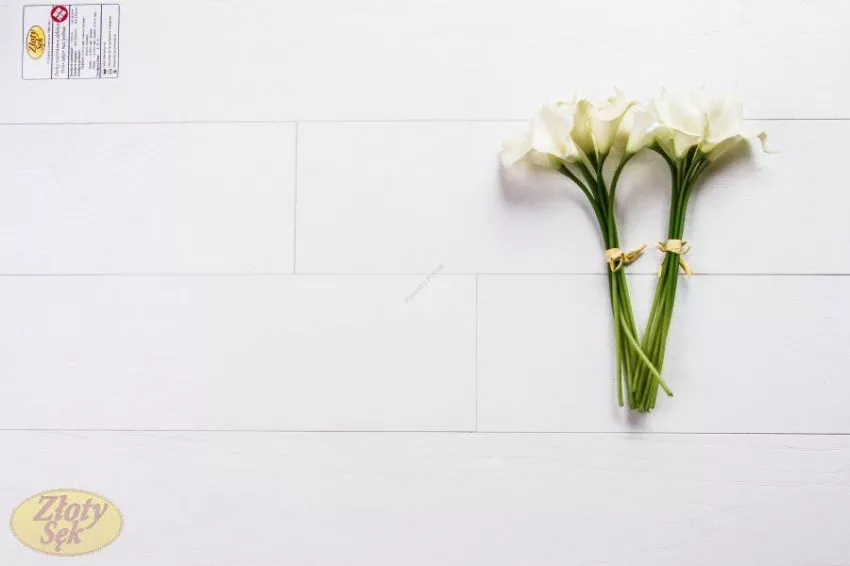 Złoty Sęk Dąb Polar klasa R