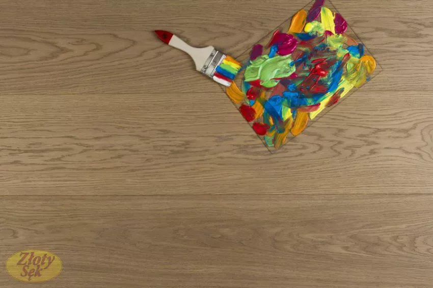 Złoty Sęk Dąb Cosmo klasa R