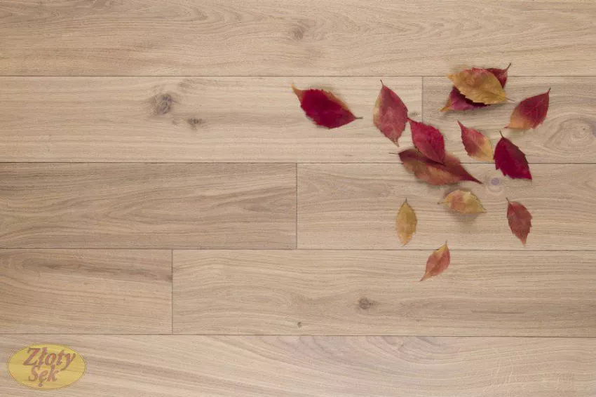 Złoty Sęk Dąb Onyx M klasa A