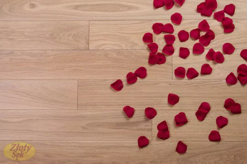 Złoty Sęk Dąb Opal klasa B