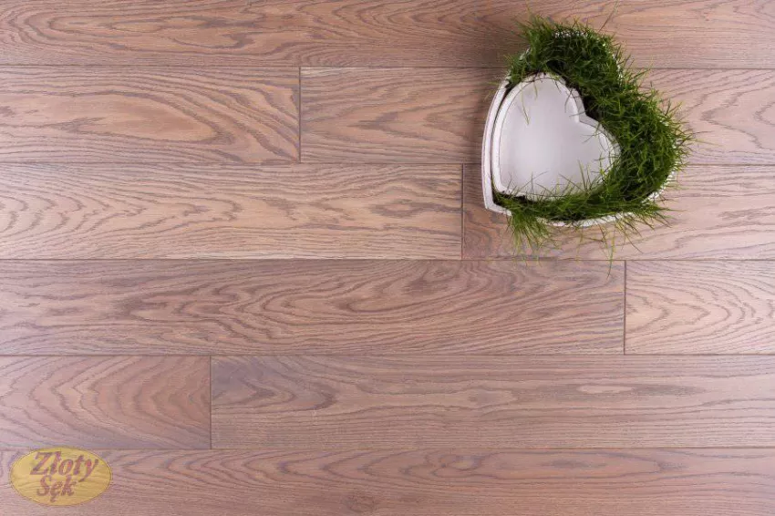 Złoty Sęk Dąb Patyna klasa R