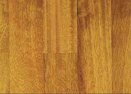Iroko