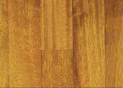 Iroko