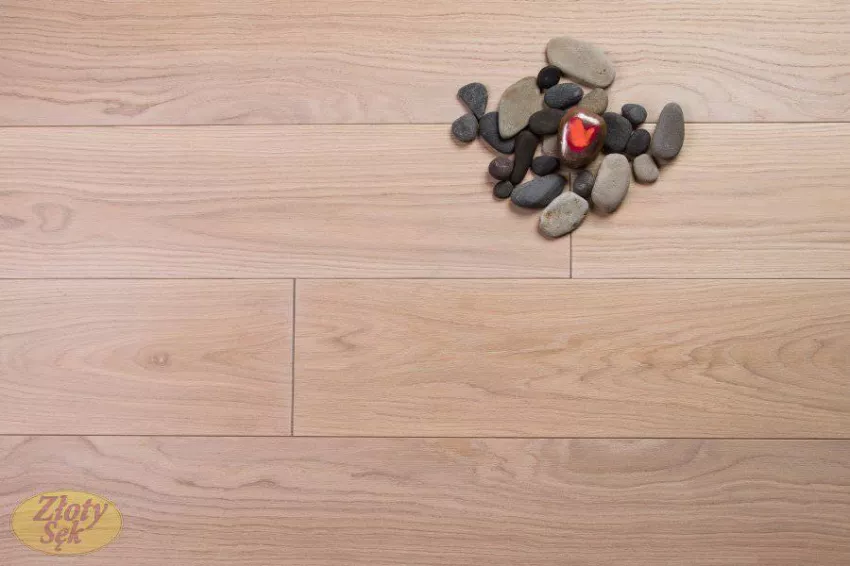 Złoty Sęk Dąb Snowy klasa A